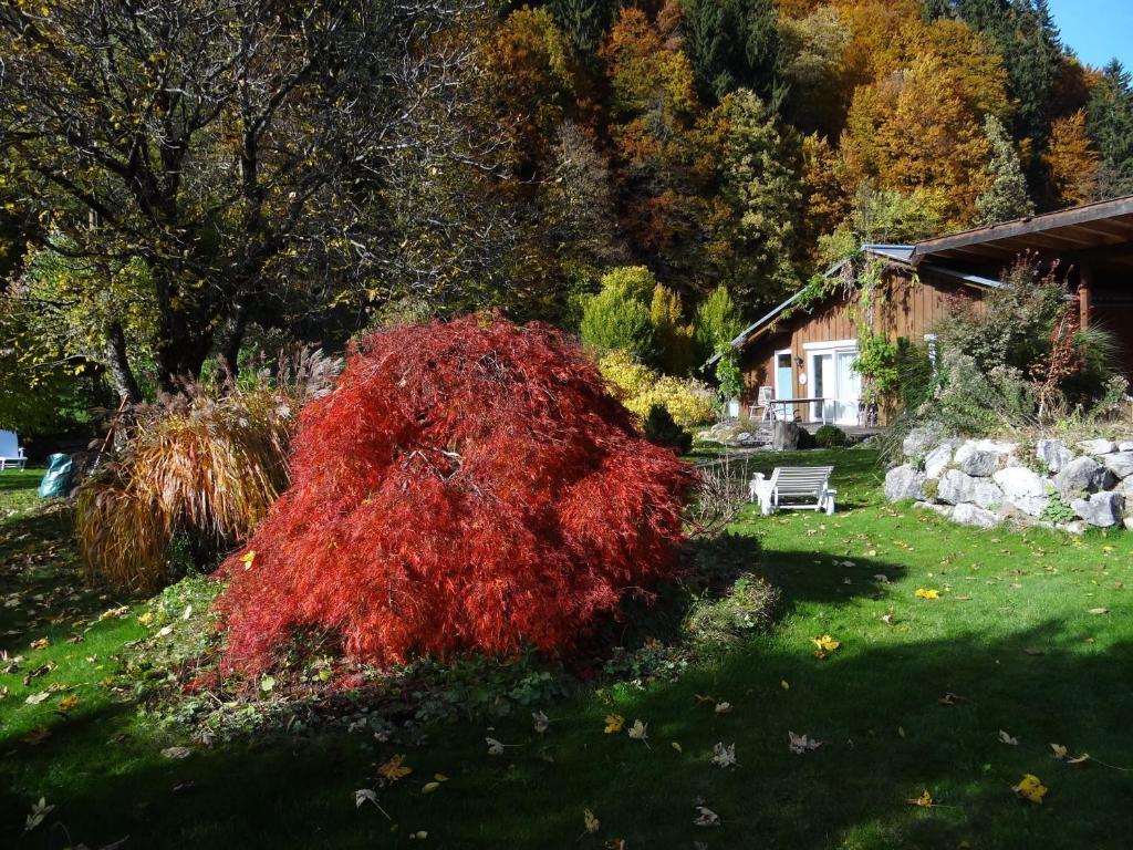 Gaestehaus Buehler Oberstdorf Rum bild
